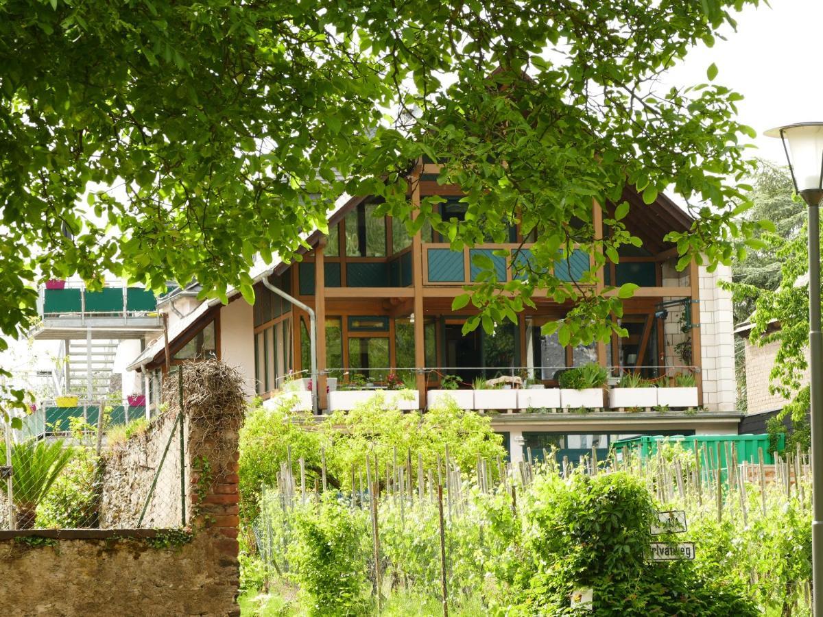 Katrin-Cara Mia Ferienwohnung Trittenheim Dış mekan fotoğraf