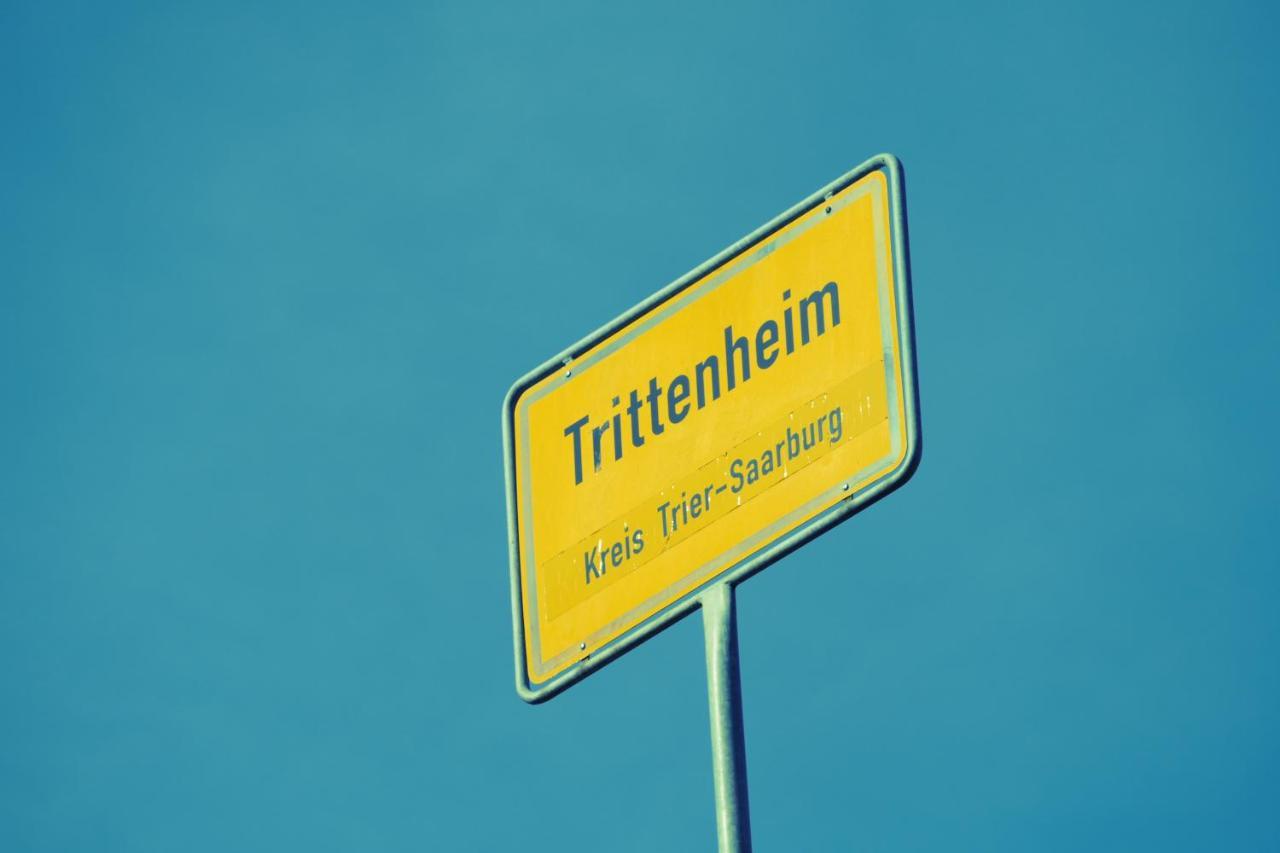 Katrin-Cara Mia Ferienwohnung Trittenheim Dış mekan fotoğraf